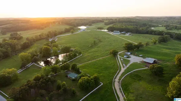 Vista Farms COUNTY ROAD 23, Fayette, AL 35555