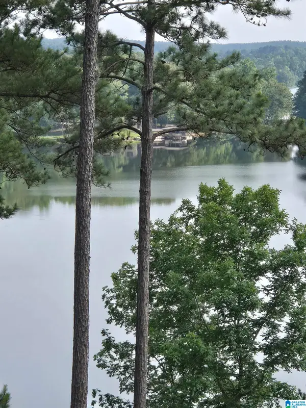 Lot 47 WATERFORD DRIVE, Sylacauga, AL 35151