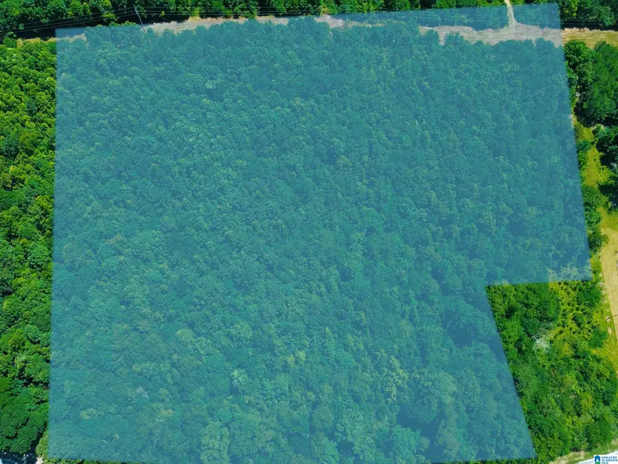 7.5 Acres US HIGHWAY 278, Piedmont, AL 36272 - Image #3