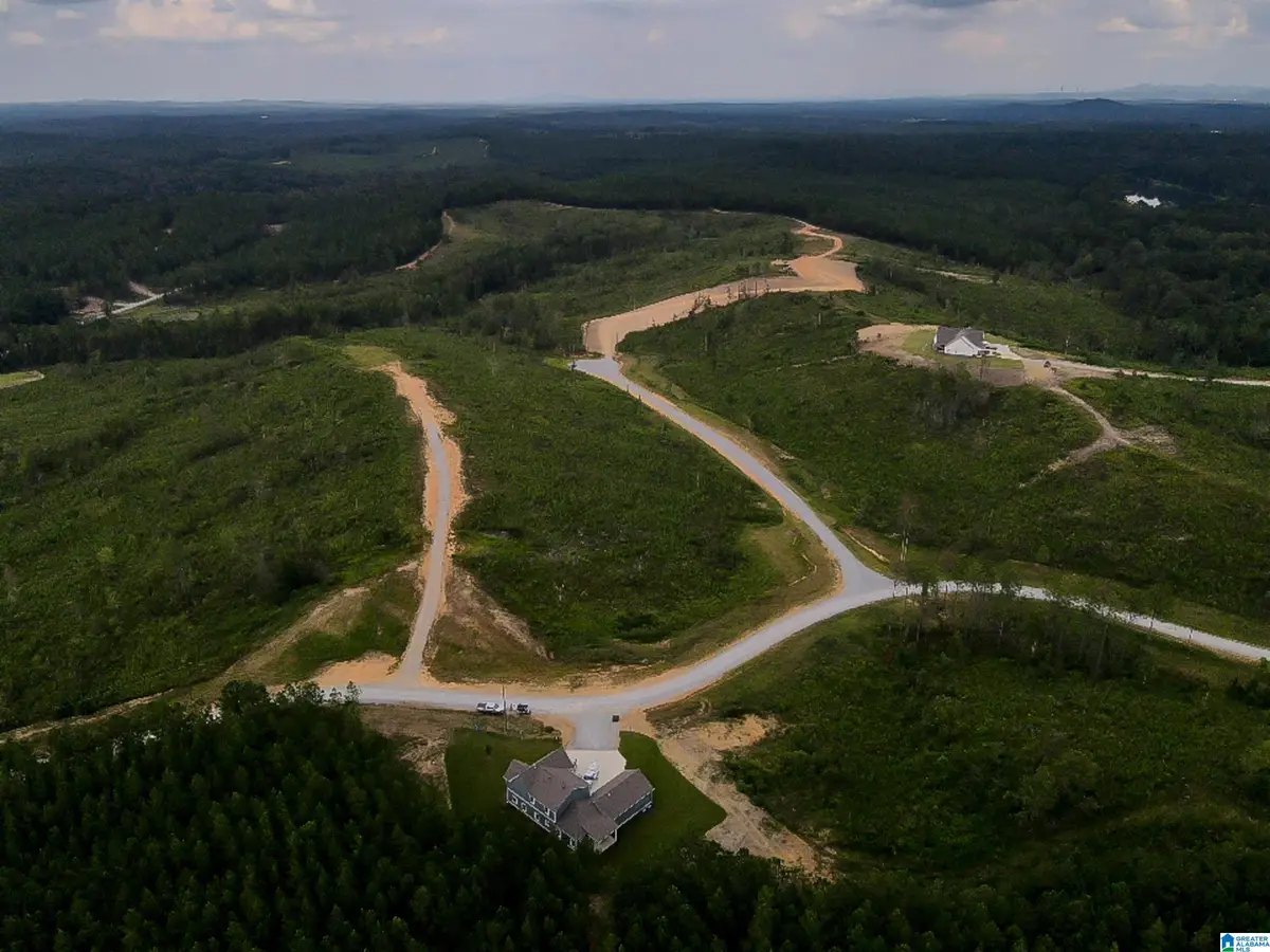 155 HERITAGE PINES WAY, Columbiana, AL 35051 - Image #1