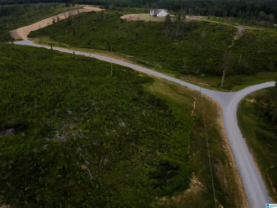 155 HERITAGE PINES WAY, Columbiana, AL 35051 - Image #3