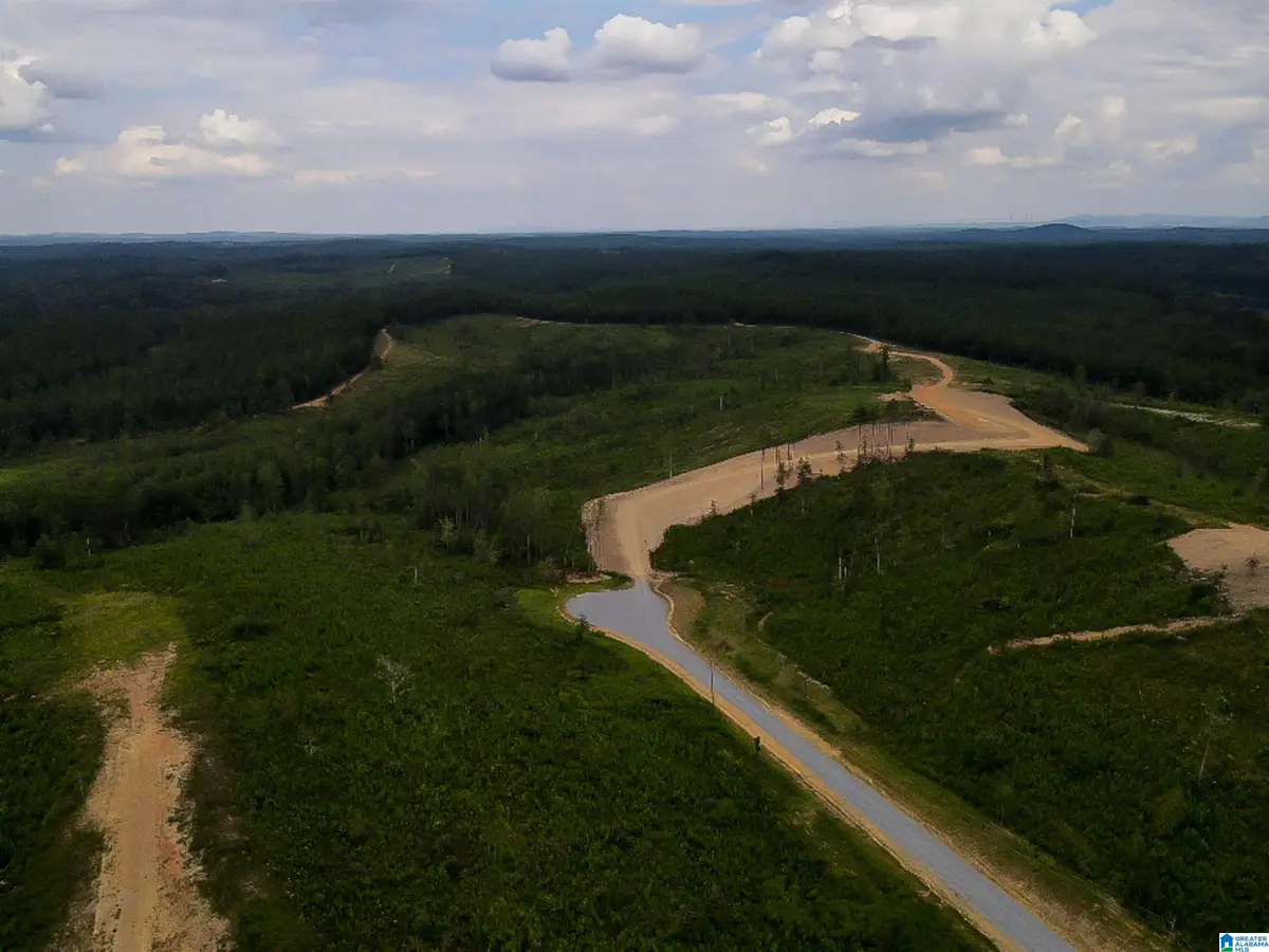 162 HERITAGE PINES CIRCLE, Columbiana, AL 35051 - Image #1