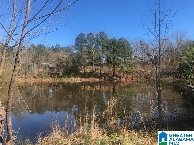 #0 SHADY POINT ROAD, Locust Fork, AL 35097 - Image #2