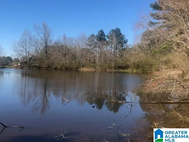#0 SHADY POINT ROAD, Locust Fork, AL 35097 - Image #3