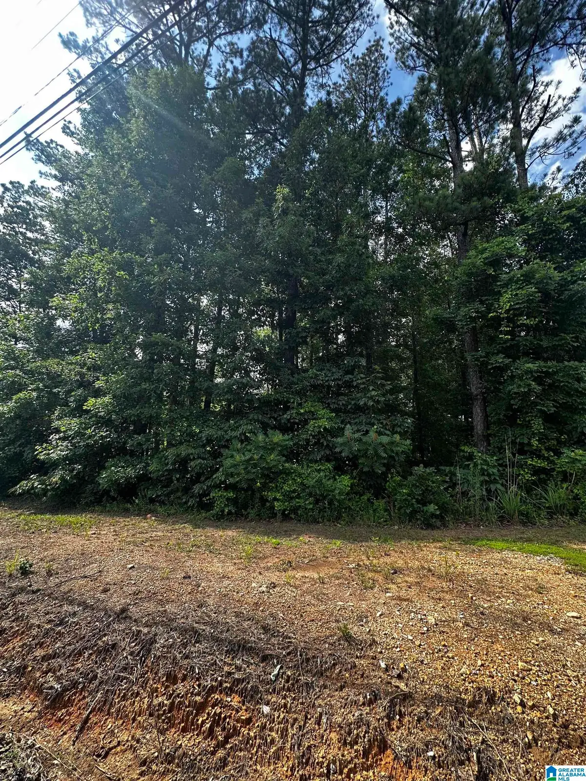 SANDY DRIVE, McCalla, AL 35111 - Image #1