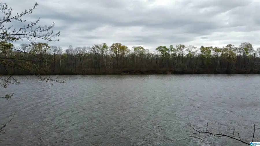 551 LIBERTY SHORES BOULEVARD, Vincent, AL 35178 - Image #3