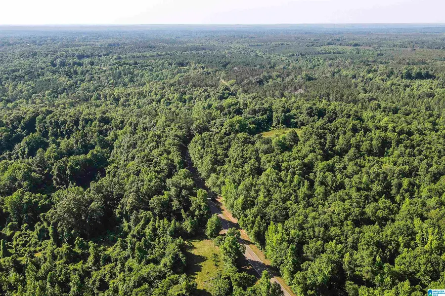 5248 COUNTY ROAD 14, Union Springs, AL 36089 - Image #3