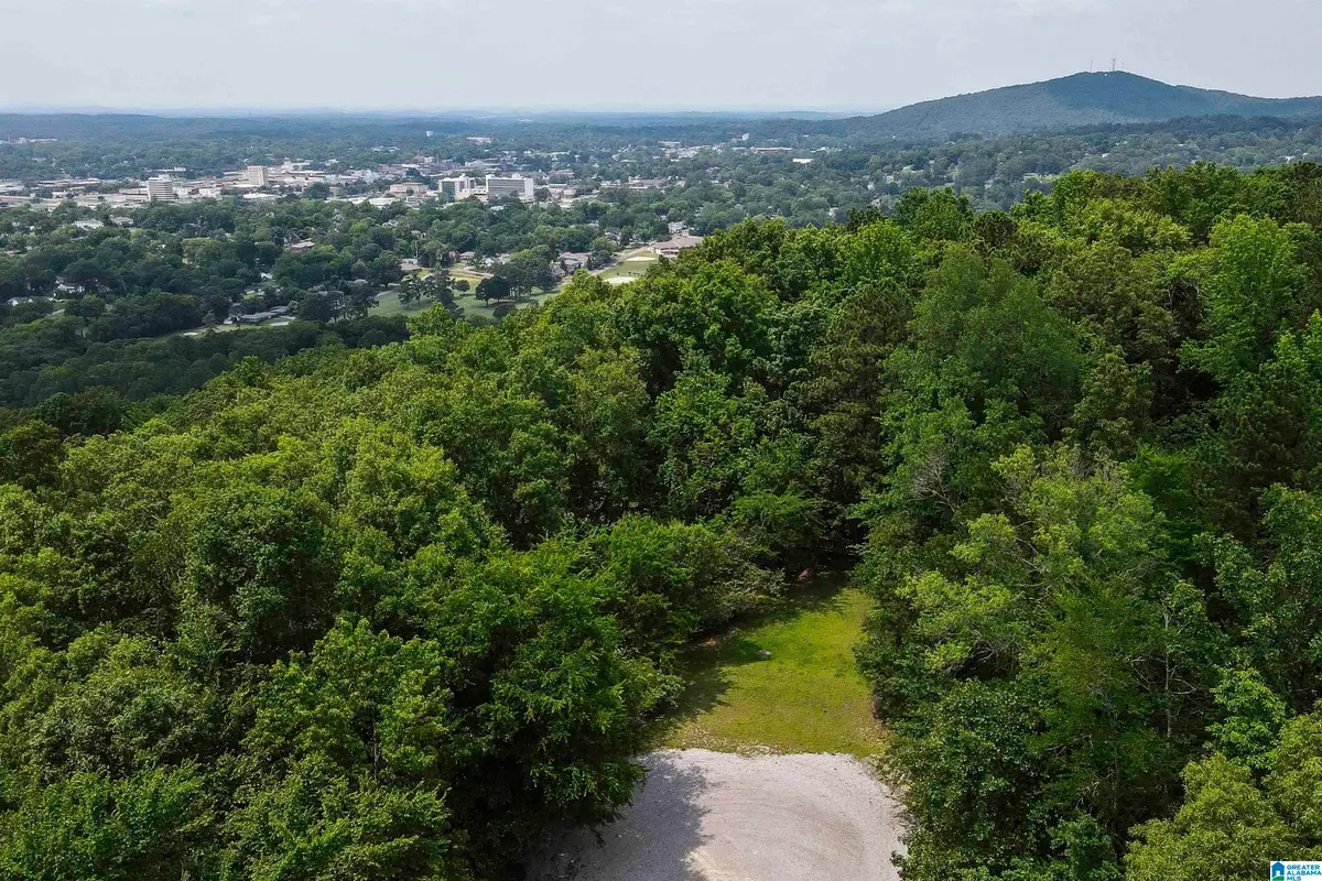 0 REBECCA TRAIL, Anniston, AL 36207 - Image #1