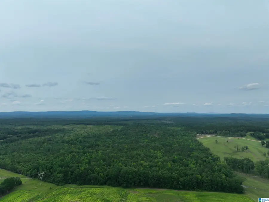 JACKSON FARM ROAD, Wilsonville, AL 35186 - Image #3