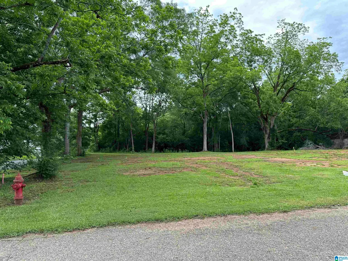 380 ASHLAND AVENUE, Wadley, AL 36276 - Image #1