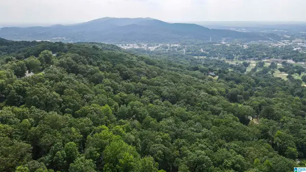 0 LANIER PLACE, Anniston, AL 36207