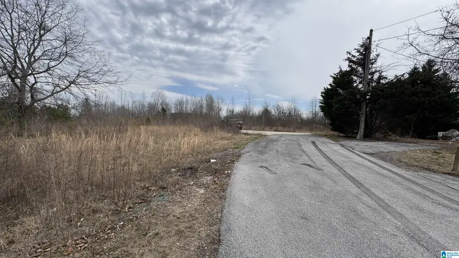 00 KENT DRIVE, Phil Campbell, AL 35581 - Image #2