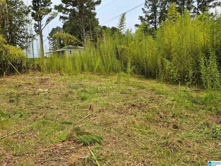 1803 COUNTY ROAD 99, Haleyville, AL 35565 - Image #2