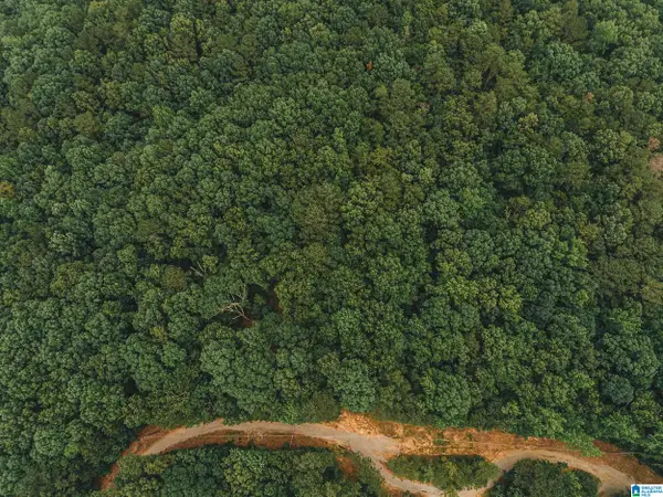 0 WENDWOOD CIRCLE, Munford, AL 36268