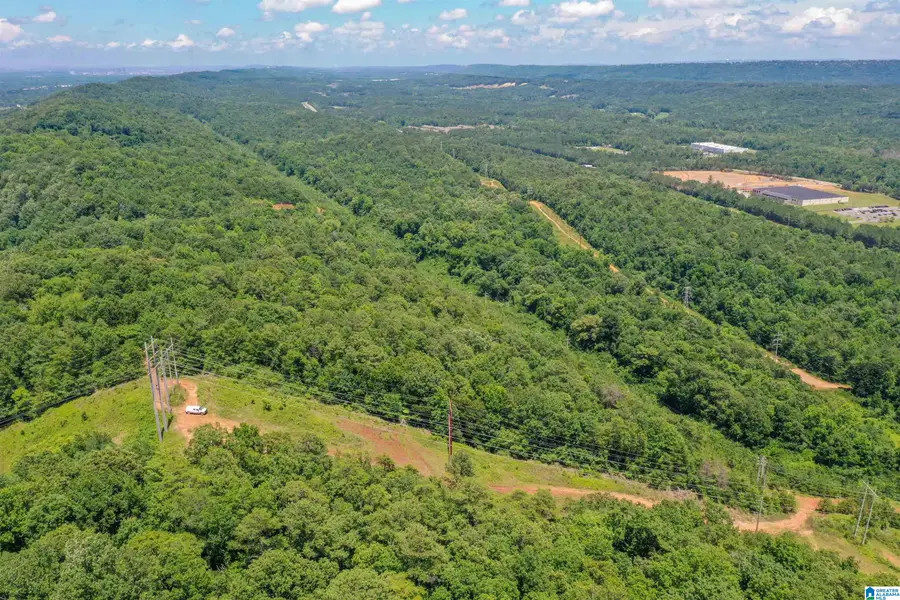 3397 OVERHILL ROAD, Bessemer, AL 35020 - Image #3