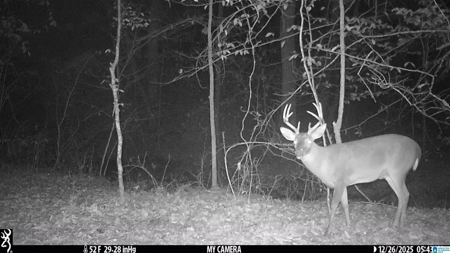 3107 SMITH SIMS ROAD, Trussville, AL 35173 - #2