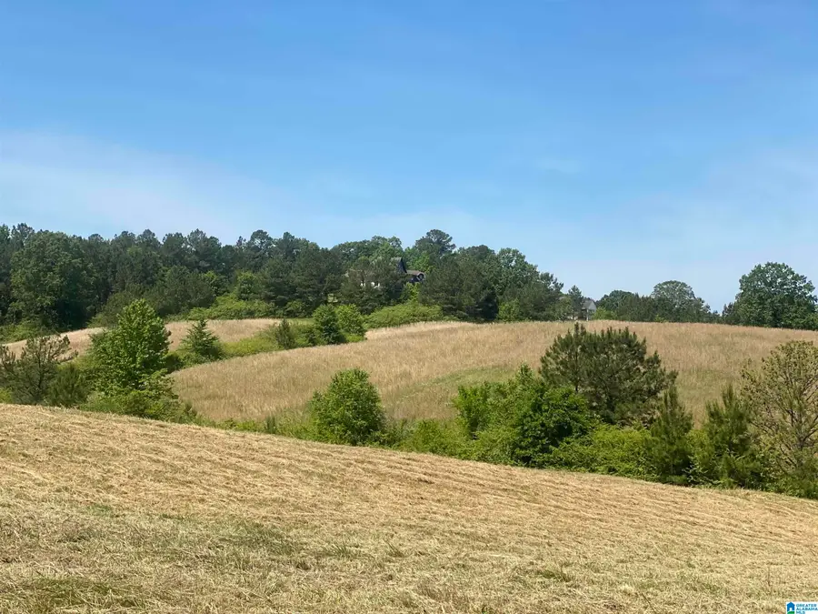 492 HIGHWAY 13, Helena, AL 35080 - #3