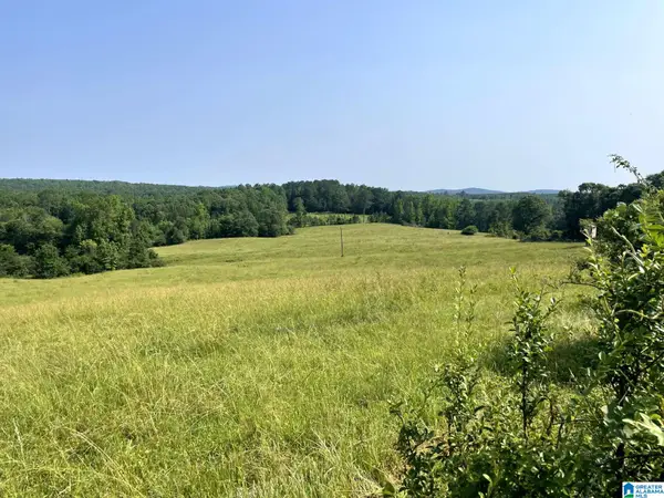 1500 SHILOH CHURCH ROAD, Delta, AL 36258