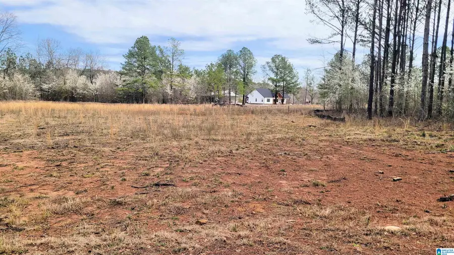 1035 CHANCELLORS FERRY LOOP, Harpersville, AL 35078 - Image #3