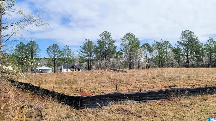 1077 CHANCELLORS FERRY LOOP, Harpersville, AL 35078 - Image #2