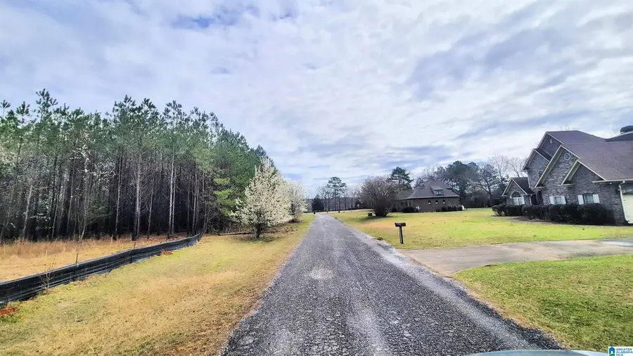 1077 CHANCELLORS FERRY LOOP, Harpersville, AL 35078 - Image #3