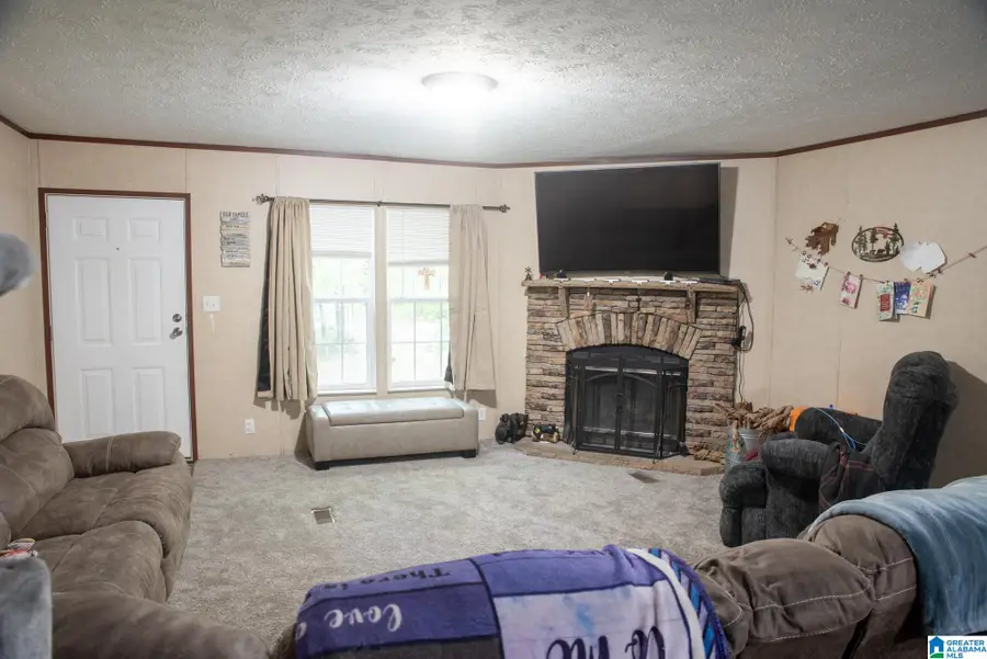 215 WOOD VALLEY LANE, Piedmont, AL 36272 - Image #2