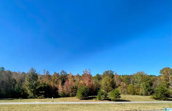 Lot #3 HIGHWAY 75, Oneonta, AL 35121