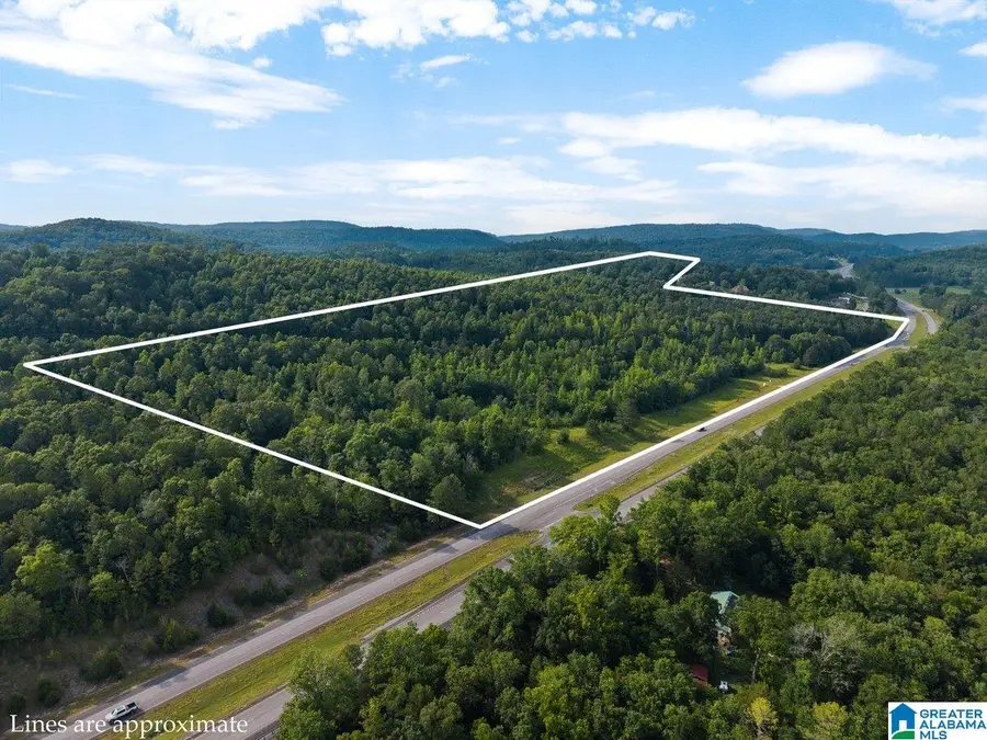 Lot #3 HIGHWAY 75, Oneonta, AL 35121 - Image #2