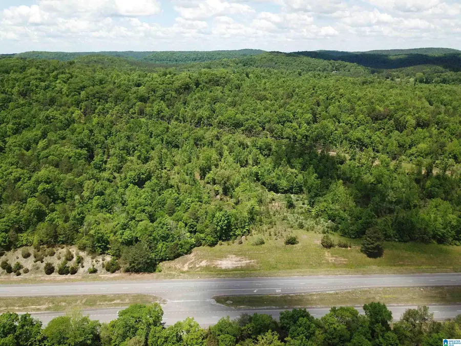 Lot #3 HIGHWAY 75, Oneonta, AL 35121 - Image #3