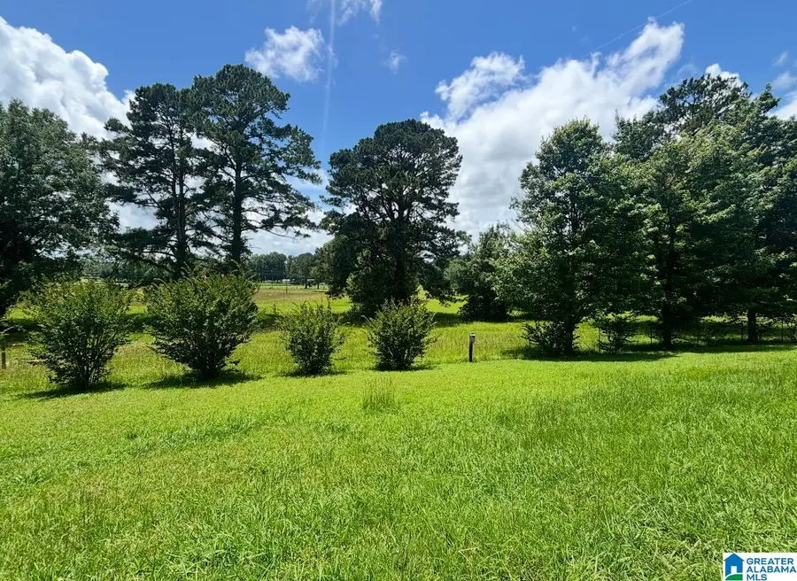 76 STOREY BOOK TRAIL, Wilsonville, AL 35186 - Image #3