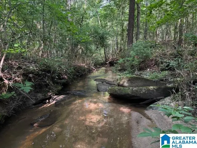 63445 HIGHWAY 22, Roanoke, AL 36274 - Image #1