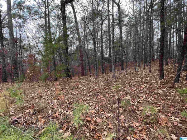 0 MOUNTAIN VIEW LANE, Mccalla, AL 35111