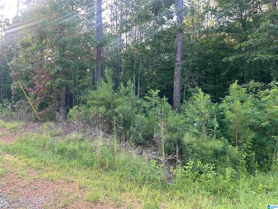 0 SUMMERSET LANE, Munford, AL 36268 - Image #2