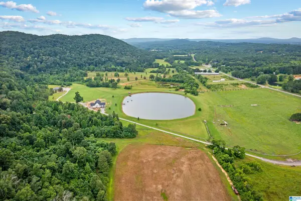 10.0 CRIMSON LAKE DRIVE, Glencoe, AL 35905