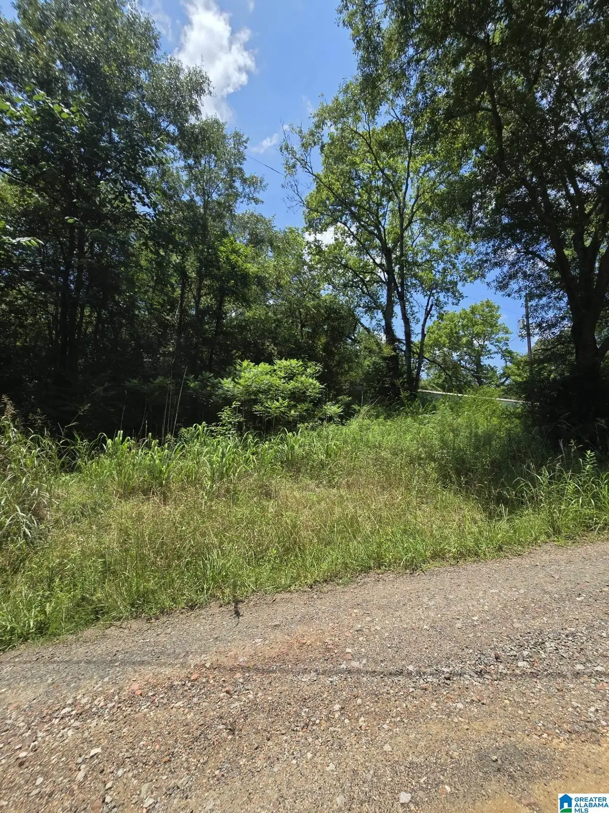 39 THOMAS ROAD, Cordova, AL 35550 - Image #1