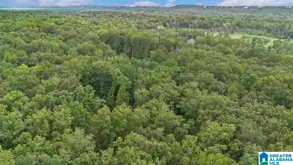 602 CARNOUSTIE, Birmingham, AL 35242