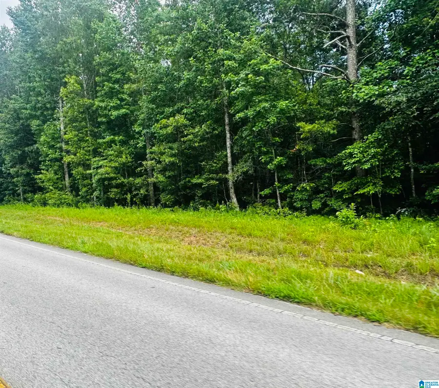 000 HIGHWAY 48, Lineville, AL 36266 - #2