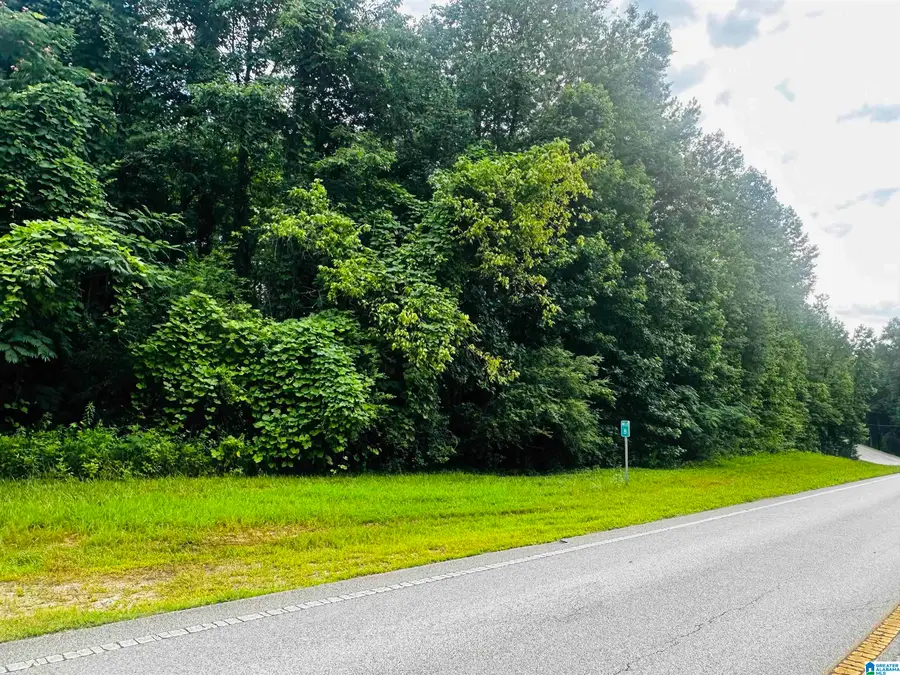 000 HIGHWAY 48, Lineville, AL 36266 - #3