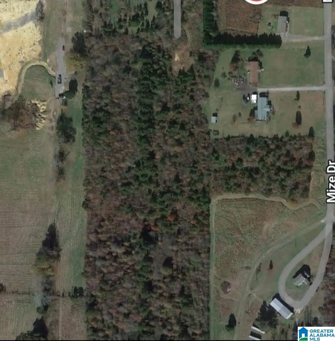 0 MIZE DRIVE, Odenville, AL 35120 - Image #1