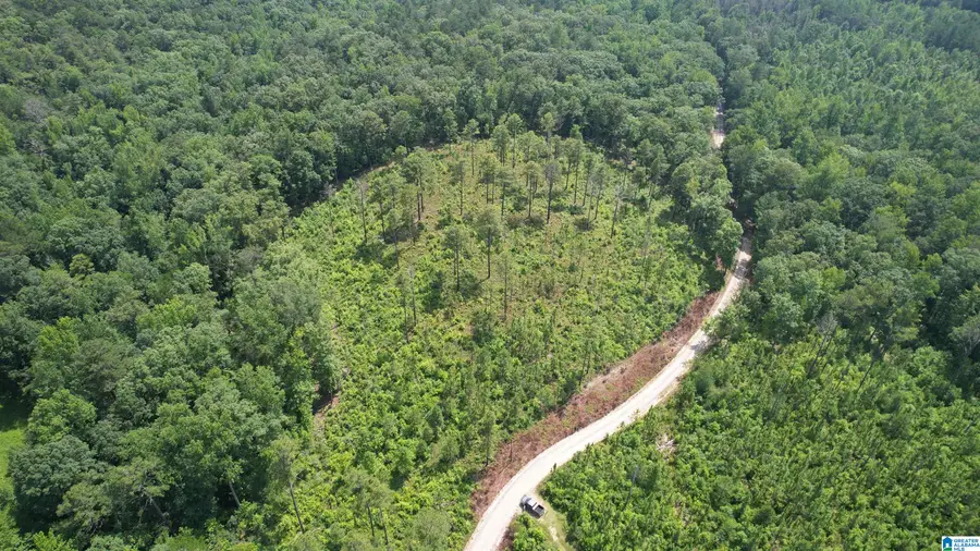 6116 BULL GAP ROAD, Goodwater, AL 35072 - Image #2