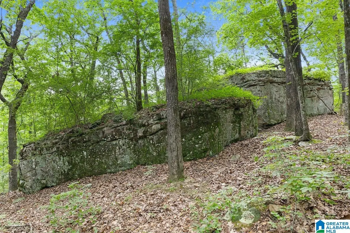 00 HIGHWAY 9, Hayden, AL 35079 - Image #1