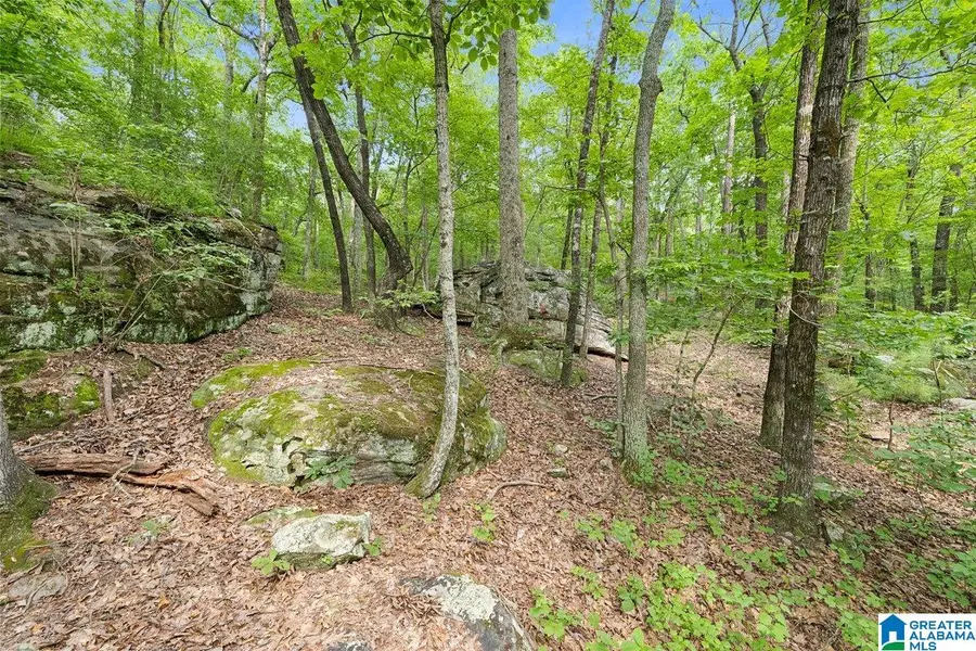 00 HIGHWAY 9, Hayden, AL 35079 - Image #3