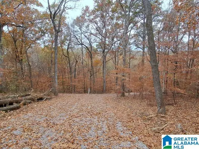 6246 RED HOLLOW ROAD, Pinson, AL 35215 - Image #1