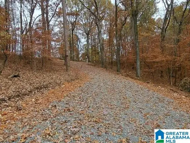 6246 RED HOLLOW ROAD, Pinson, AL 35215 - Image #2