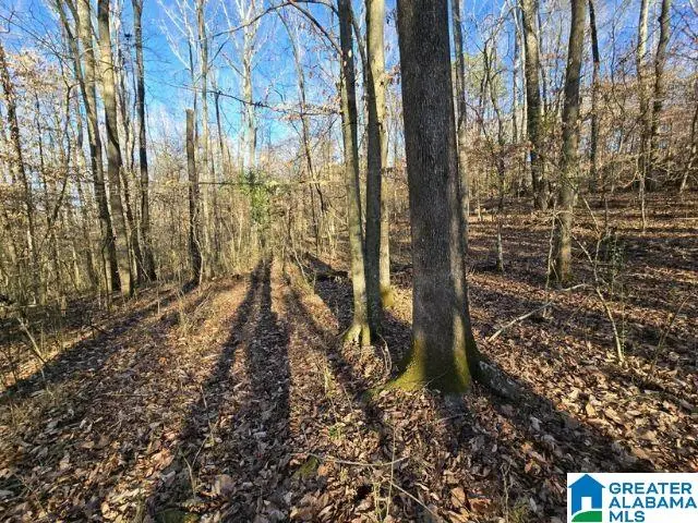 6246 RED HOLLOW ROAD, Pinson, AL 35215 - Image #3