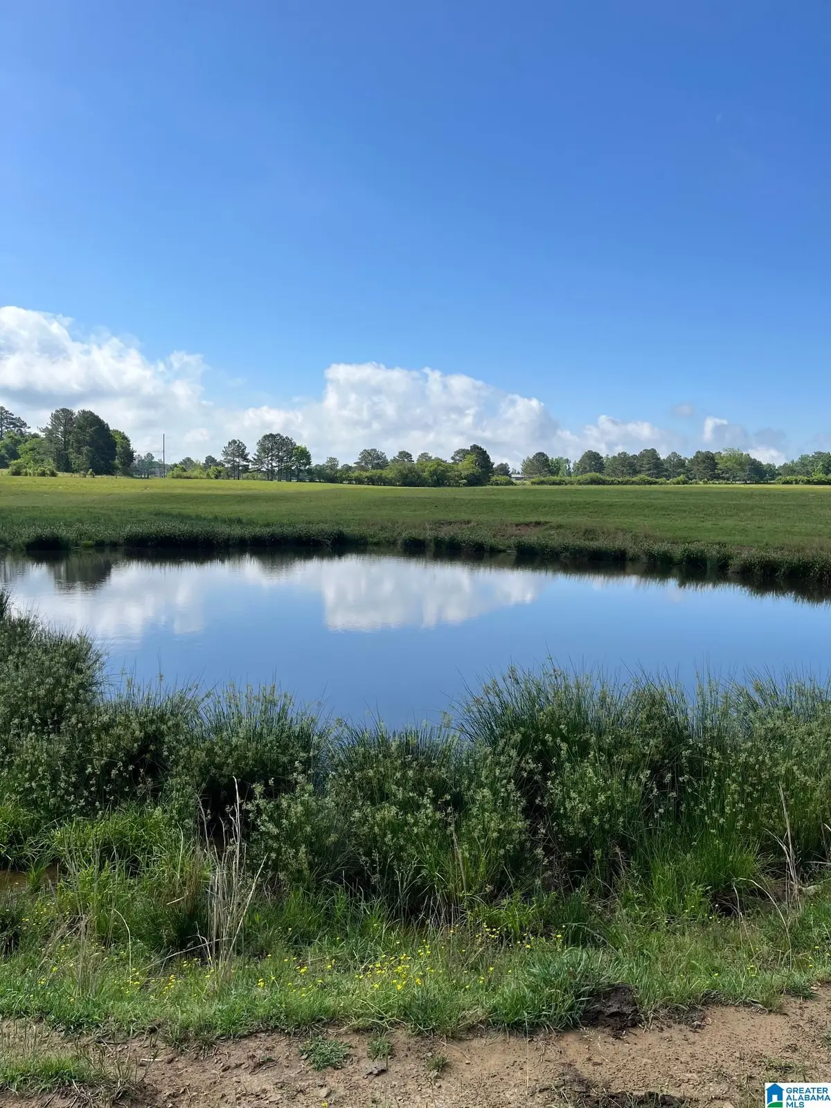 0 MORTON ROAD, Oneonta, AL 35121 - Image #1