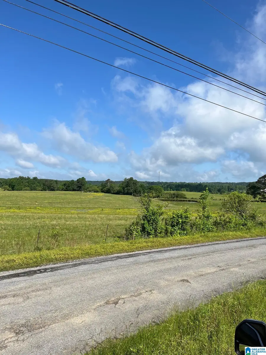 0 MORTON ROAD, Oneonta, AL 35121 - Image #2