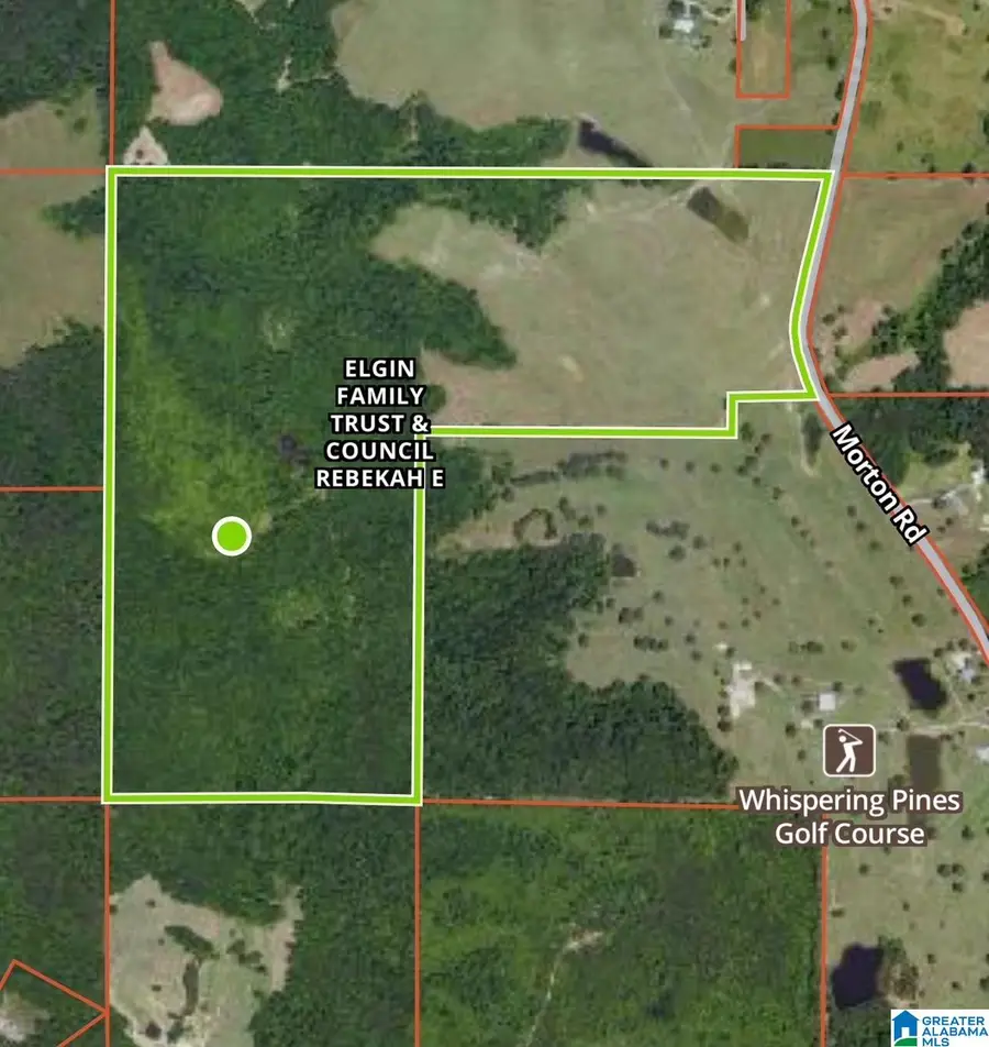 0 MORTON ROAD, Oneonta, AL 35121 - Image #3