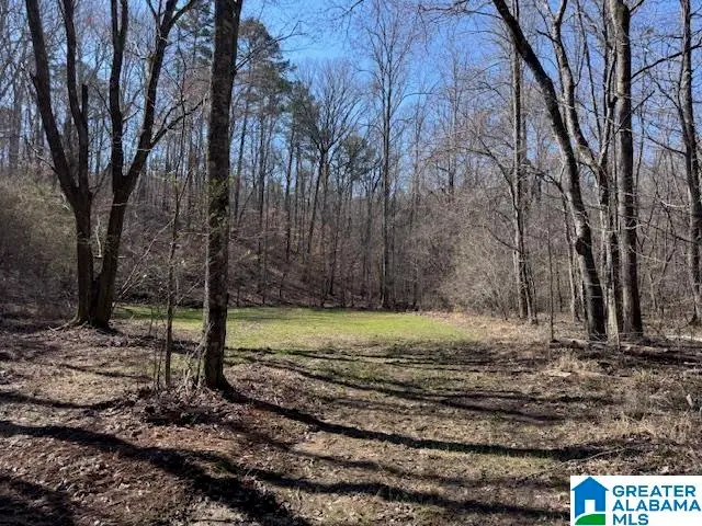 COUNTY ROAD 66, Fruithurst, AL 36262 - Image #3