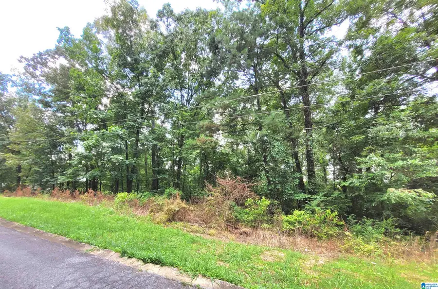 000 BRYAN STREET, Talladega, AL 35160 - Image #2